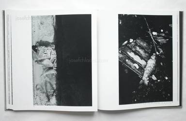 Sample page 15 for book Jun Morinaga – River, its shadow of shadows (河 累影 | 森永純)